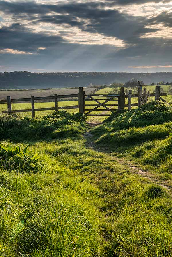 Beautiful English countryside landscape over fields at sunset